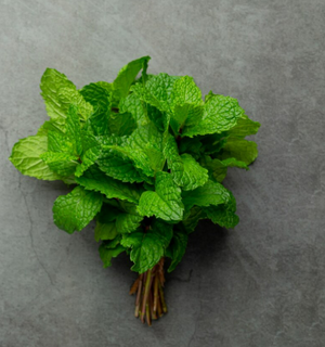 Mint