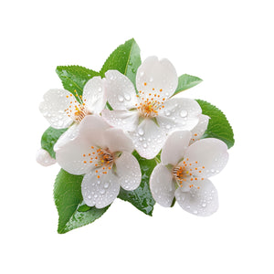 Neroli
